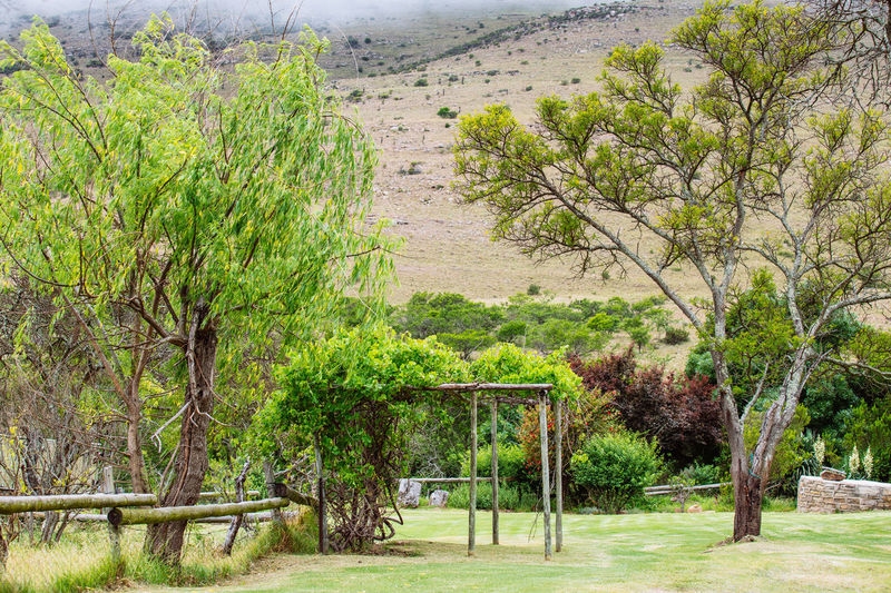 Lodge Garden